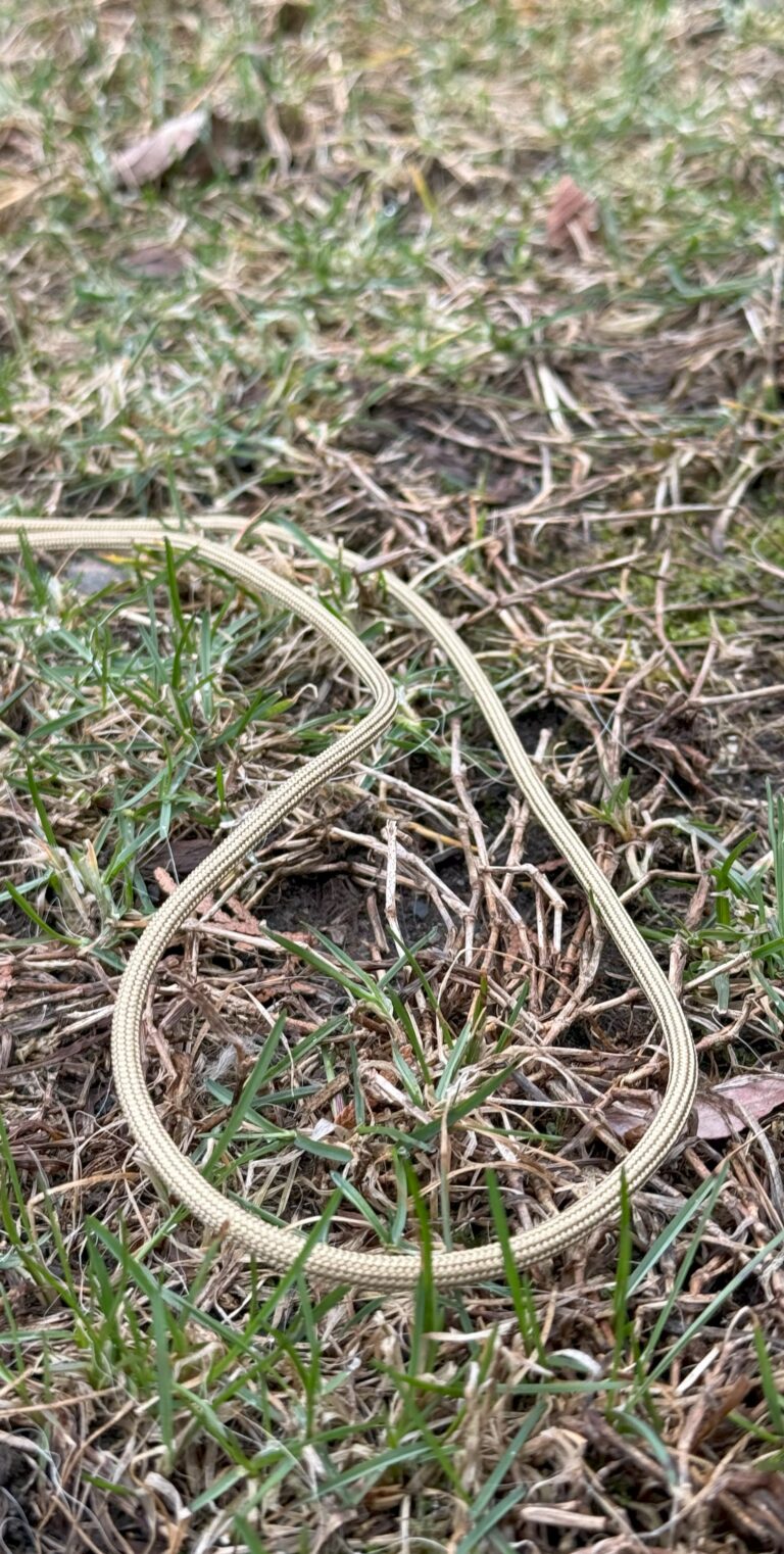 Coyote Brown Rope 2
