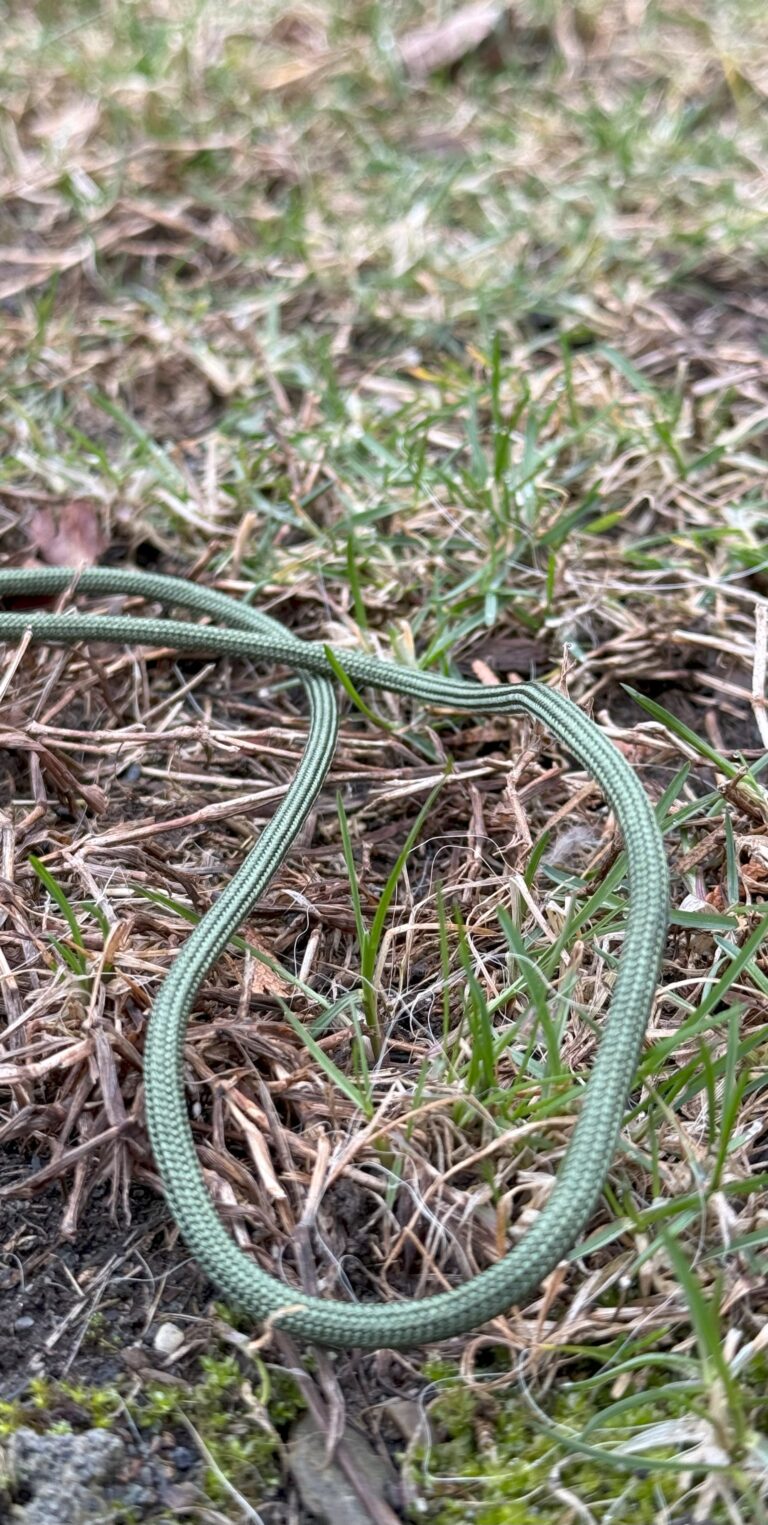 Green Rope 2