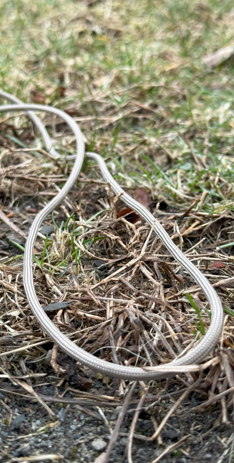 Sand Brown Rope 2